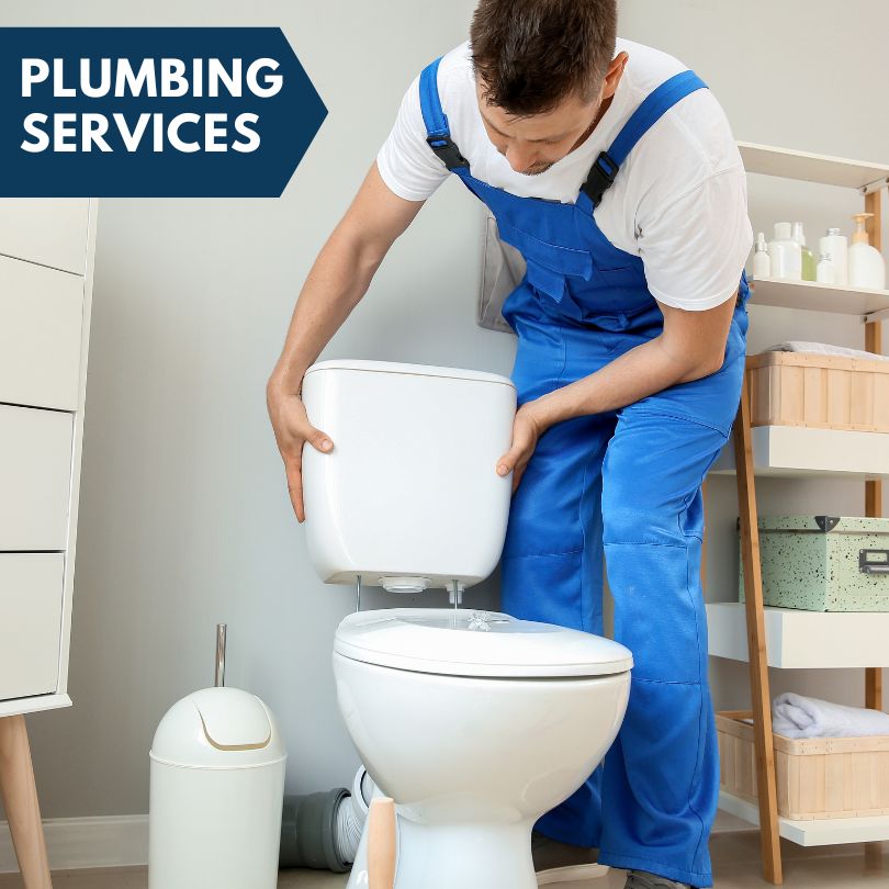 Plumbing Company in Maybee, MI